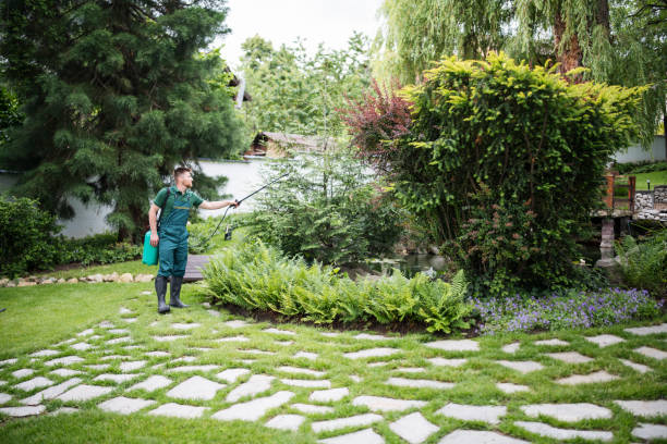 Best Local Pest Control Services  in Frontenac, KS