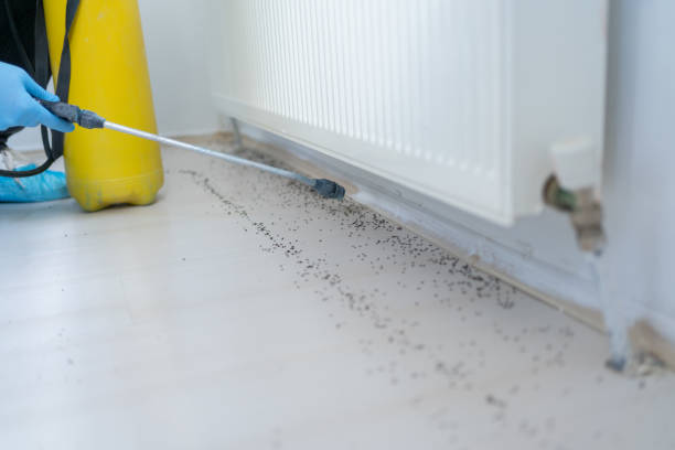 Best Exterminator Services  in Frontenac, KS