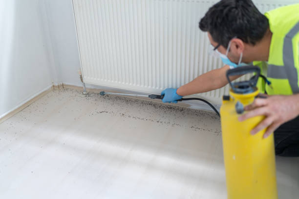Best Affordable Exterminators  in Frontenac, KS